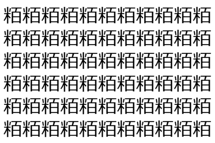 【脳トレ】「粨」の中に紛れて1つ違う文字がある！？あなたは何秒で探し出せるかな？？【違う文字を探せ！】