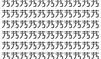 【脳トレ】「艿」の中に紛れて1つ違う文字がある！？あなたは何秒で探し出せるかな？？【違う文字を探せ！】