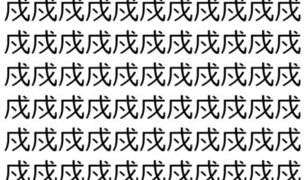 【脳トレ】「戍」の中に紛れて1つ違う文字がある!?あなたは何秒で探し出せるかな??【違う文字を探せ!】