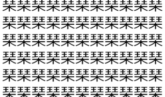 【脳トレ】「琹」の中に紛れて1つ違う文字がある！？あなたは何秒で探し出せるかな？？【違う文字を探せ！】