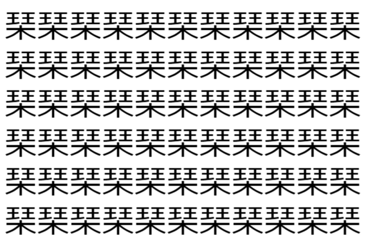 【脳トレ】「琹」の中に紛れて1つ違う文字がある！？あなたは何秒で探し出せるかな？？【違う文字を探せ！】