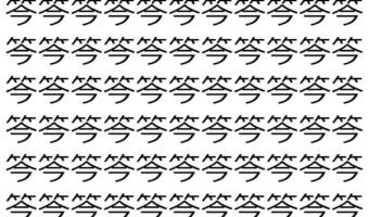 【脳トレ】「笒」の中に紛れて1つ違う文字がある!?あなたは何秒で探し出せるかな??【違う文字を探せ!】