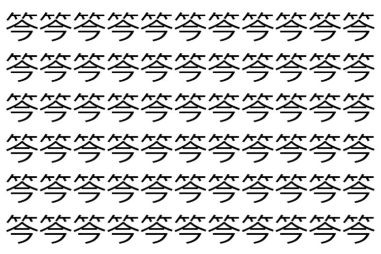 【脳トレ】「笒」の中に紛れて1つ違う文字がある！？あなたは何秒で探し出せるかな？？【違う文字を探せ！】