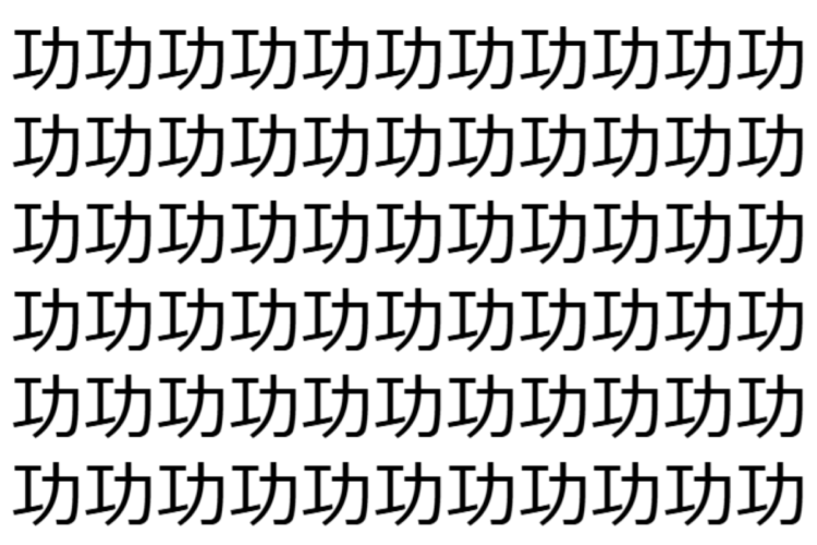 【脳トレ】「功」の中に紛れて1つ違う文字がある！？あなたは何秒で探し出せるかな？？【違う文字を探せ！】