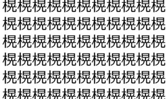 【脳トレ】「榥」の中に紛れて1つ違う文字がある!?あなたは何秒で探し出せるかな??【違う文字を探せ!】