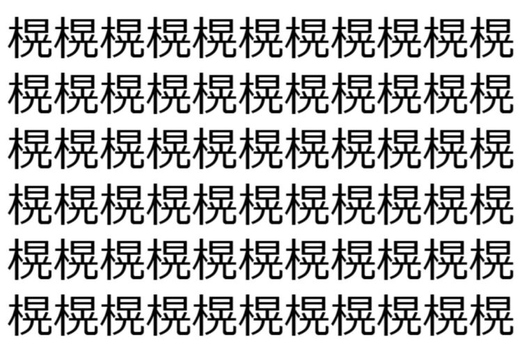 【脳トレ】「榥」の中に紛れて1つ違う文字がある！？あなたは何秒で探し出せるかな？？【違う文字を探せ！】