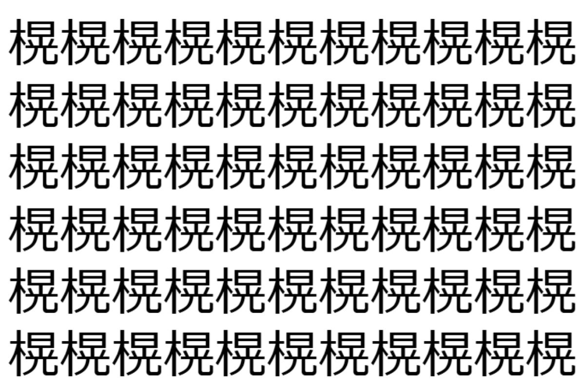 【脳トレ】「榥」の中に紛れて1つ違う文字がある!?あなたは何秒で探し出せるかな??【違う文字を探せ!】
