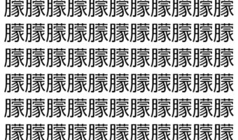 【脳トレ】「朦」の中に紛れて1つ違う文字がある!?あなたは何秒で探し出せるかな??【違う文字を探せ!】