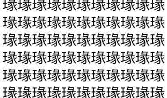【脳トレ】「瑑」の中に紛れて1つ違う文字がある!?あなたは何秒で探し出せるかな??【違う文字を探せ!】