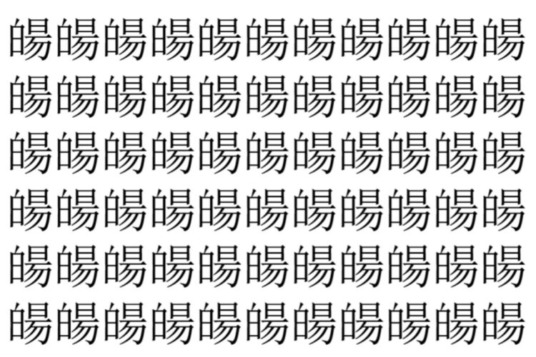 【脳トレ】「𤾉」の中に紛れて1つ違う文字がある！？あなたは何秒で探し出せるかな？？【違う文字を探せ！】