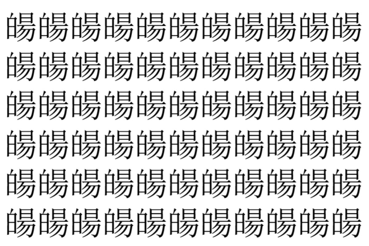 【脳トレ】「𤾉」の中に紛れて1つ違う文字がある!?あなたは何秒で探し出せるかな??【違う文字を探せ!】