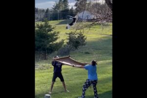 木の下で毛布を広げる人たち。2人の視線の先には・・木から降りられなくなったネコが！【アメリカ・】