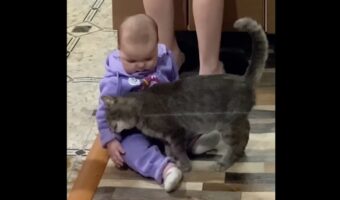 頼もしいベビーシッター！ぐずる赤ちゃんをあやすのは・・・ネコ！？【海外・動画】