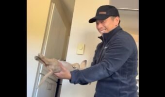 抱き上げられたダックスフントの子犬。足もピンと伸ばしてフリーズしちゃっている！？【アメリカ・動画】