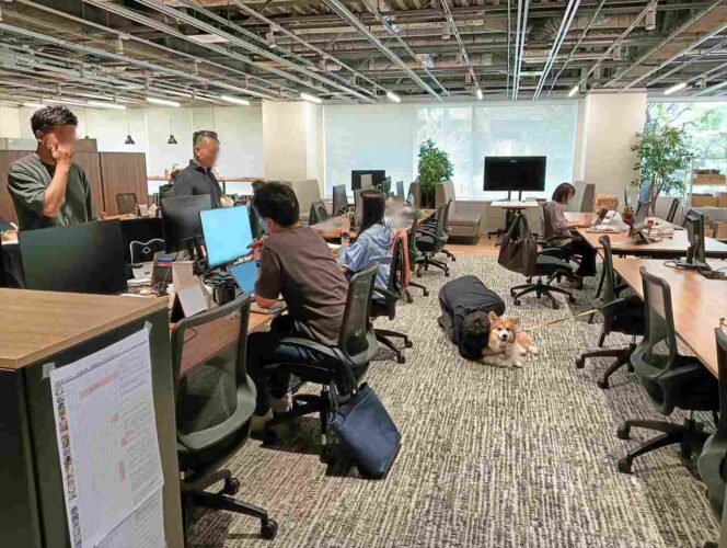 社員たちが真面目な話をしているその横で・・。犬吸いに夢中な社長の姿が話題に