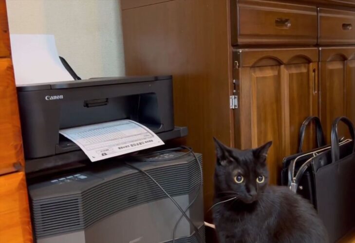 コピー機の前に陣取るネコ。印刷される用紙をおっかなびっくり見つめていた末路が話題に