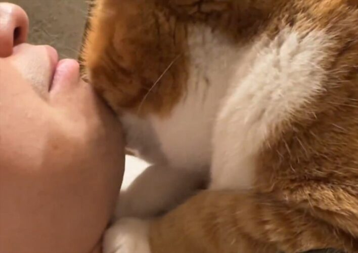 猫吸いさせてもらおうと思ったら・・、逆にネコに吸われることに！？衝撃の展開が話題に「待ってたんでしょうね」「パパを吸わないと元気出ないよね！」