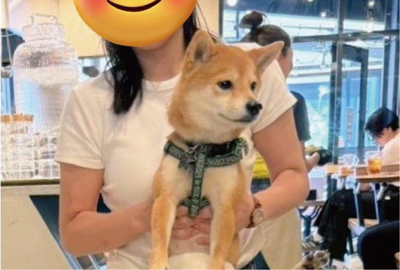 手足がピン!捕獲された柴犬の姿が話題に「かわいすぎなんですが!」「足めっちゃ開くんですね」