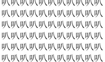 【脳トレ】「叭」の中に紛れて1つ違う文字がある!?あなたは何秒で探し出せるかな??【違う文字を探せ!】