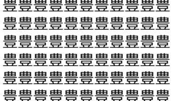 【脳トレ】「豊」の中に紛れて1つ違う文字がある!?あなたは何秒で探し出せるかな??【違う文字を探せ!】
