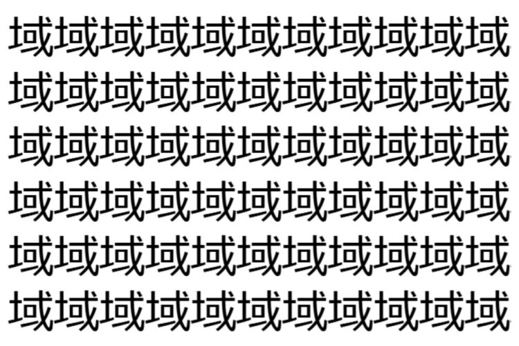 【脳トレ】「域」の中に紛れて1つ違う文字がある！？あなたは何秒で探し出せるかな？？【違う文字を探せ！】