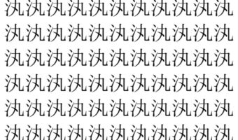 【脳トレ】「汍」の中に紛れて1つ違う文字がある!?あなたは何秒で探し出せるかな??【違う文字を探せ!】