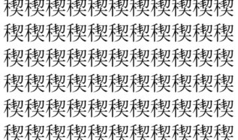 【脳トレ】「稧」の中に紛れて1つ違う文字がある!?あなたは何秒で探し出せるかな??【違う文字を探せ!】