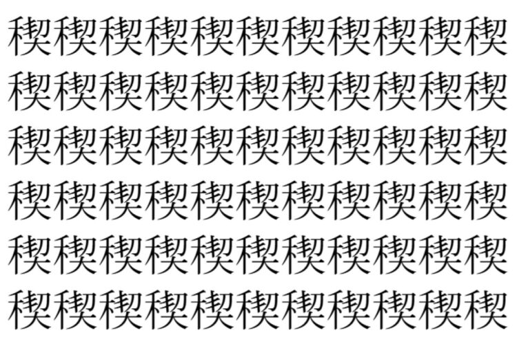 【脳トレ】「稧」の中に紛れて1つ違う文字がある！？あなたは何秒で探し出せるかな？？【違う文字を探せ！】
