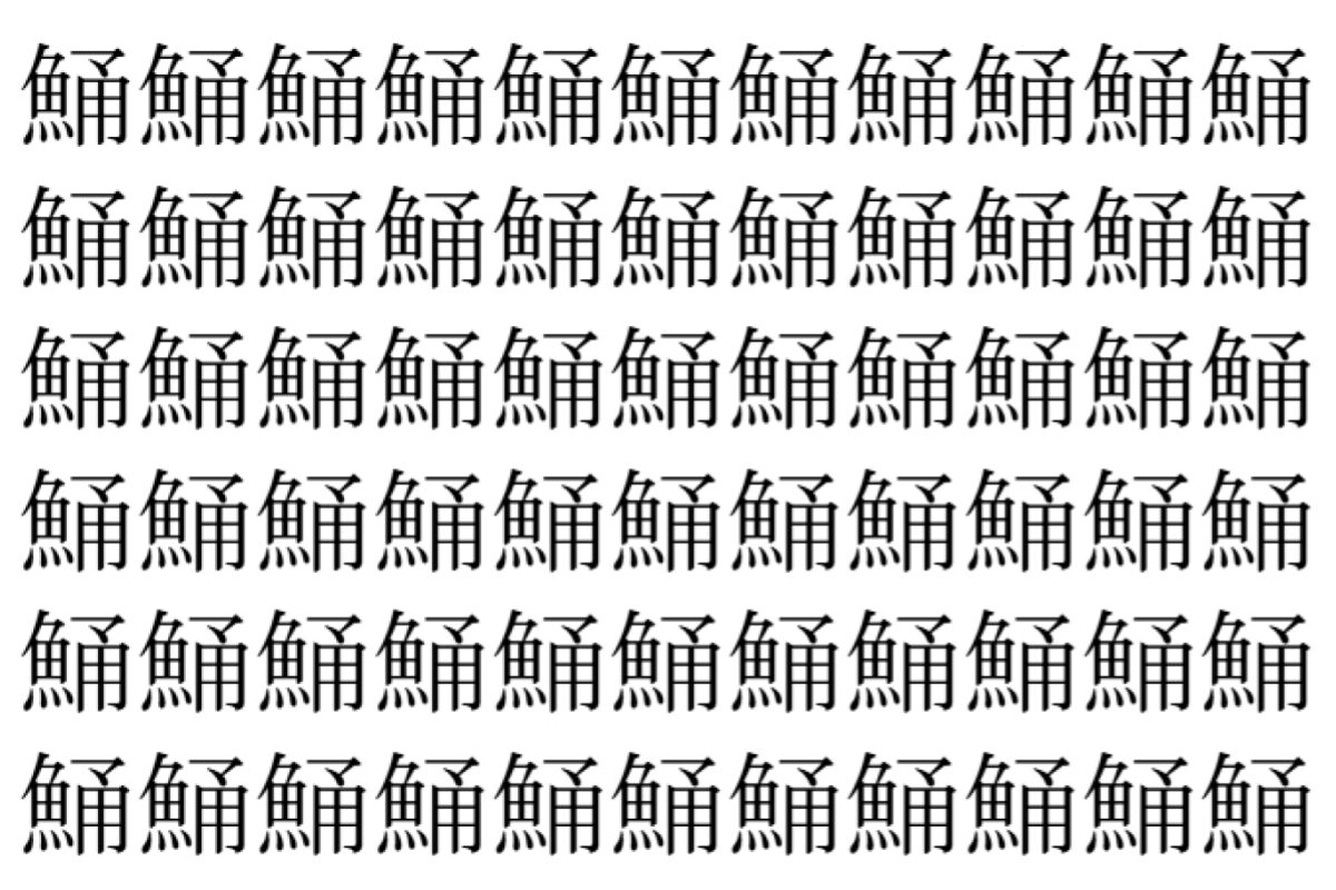 【脳トレ】「鯒」の中に紛れて1つ違う文字がある!?あなたは何秒で探し出せるかな??【違う文字を探せ!】