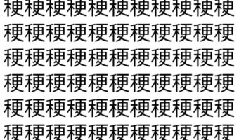 【脳トレ】「稉」の中に紛れて1つ違う文字がある！？あなたは何秒で探し出せるかな？？【違う文字を探せ！】