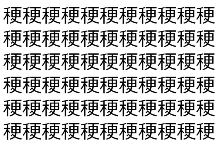【脳トレ】「稉」の中に紛れて1つ違う文字がある！？あなたは何秒で探し出せるかな？？【違う文字を探せ！】