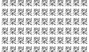 【脳トレ】「𥞥」の中に紛れて1つ違う文字がある!?あなたは何秒で探し出せるかな??【違う文字を探せ!】