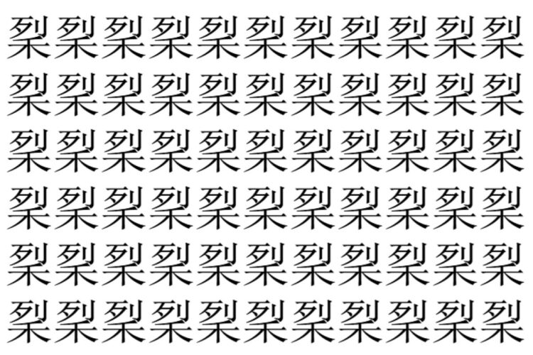 【脳トレ】「𥞥」の中に紛れて1つ違う文字がある！？あなたは何秒で探し出せるかな？？【違う文字を探せ！】