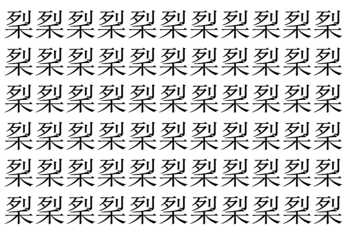 【脳トレ】「𥞥」の中に紛れて1つ違う文字がある!?あなたは何秒で探し出せるかな??【違う文字を探せ!】