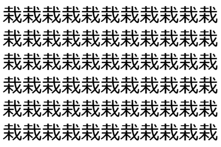 【脳トレ】「栽」の中に紛れて1つ違う文字がある！？あなたは何秒で探し出せるかな？？【違う文字を探せ！】