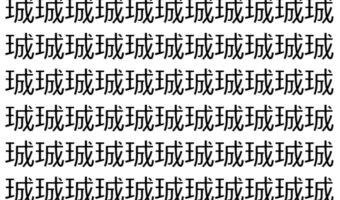 【脳トレ】「珹」の中に紛れて1つ違う文字がある！？あなたは何秒で探し出せるかな？？【違う文字を探せ！】