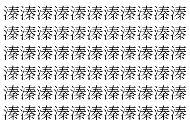【脳トレ】「溱」の中に紛れて1つ違う文字がある！？あなたは何秒で探し出せるかな？？【違う文字を探せ！】