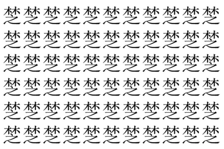 【脳トレ】「椘」の中に紛れて1つ違う文字がある！？あなたは何秒で探し出せるかな？？【違う文字を探せ！】