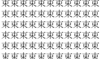 【脳トレ】「束」の中に紛れて1つ違う文字がある!?あなたは何秒で探し出せるかな??【違う文字を探せ!】