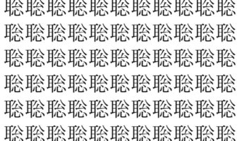 【脳トレ】「聡」の中に紛れて1つ違う文字がある!?あなたは何秒で探し出せるかな??【違う文字を探せ!】