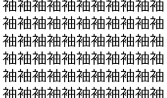 【脳トレ】「袖」の中に紛れて1つ違う文字がある!?あなたは何秒で探し出せるかな??【違う文字を探せ!】