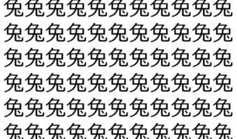【脳トレ】「兔」の中に紛れて1つ違う文字がある！？あなたは何秒で探し出せるかな？？【違う文字を探せ！】