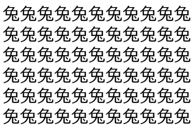 【脳トレ】「兔」の中に紛れて1つ違う文字がある！？あなたは何秒で探し出せるかな？？【違う文字を探せ！】