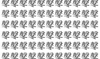【脳トレ】「㲇」の中に紛れて1つ違う文字がある!?あなたは何秒で探し出せるかな??【違う文字を探せ!】