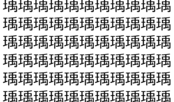 【脳トレ】「瑀」の中に紛れて1つ違う文字がある!?あなたは何秒で探し出せるかな??【違う文字を探せ!】