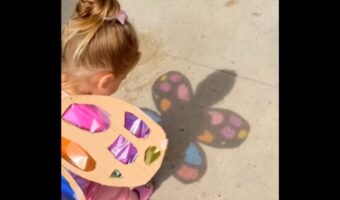 かわいい羽の秘密。太陽の光が差し込むと・・影までかわいい!!【アメリカ・動画】