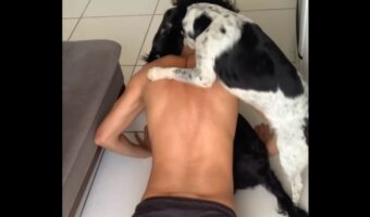 愛犬たちはトレーナー?腕立て伏せに励む飼い主さんを全力サポート!【海外・動画】