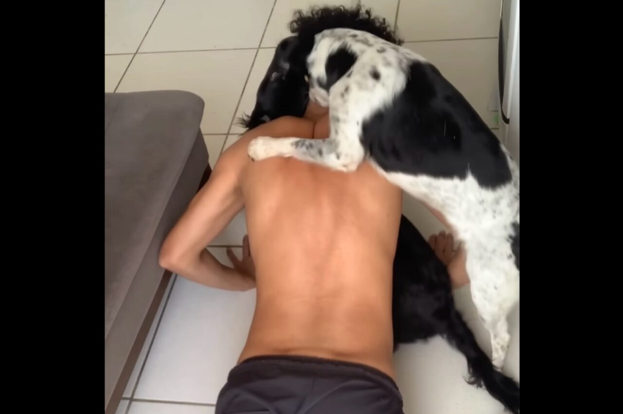 愛犬たちはトレーナー?腕立て伏せに励む飼い主さんを全力サポート!【海外・動画】