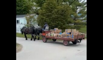 荷物の配達するのは・・馬!?ユニークな配達風景が話題に【アメリカ・動画】