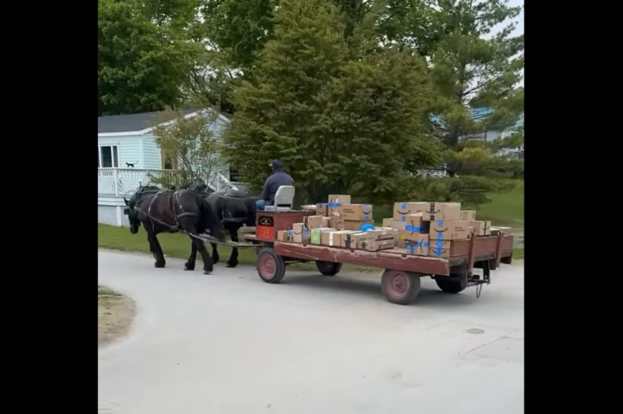 荷物の配達するのは・・馬!?ユニークな配達風景が話題に【アメリカ・動画】